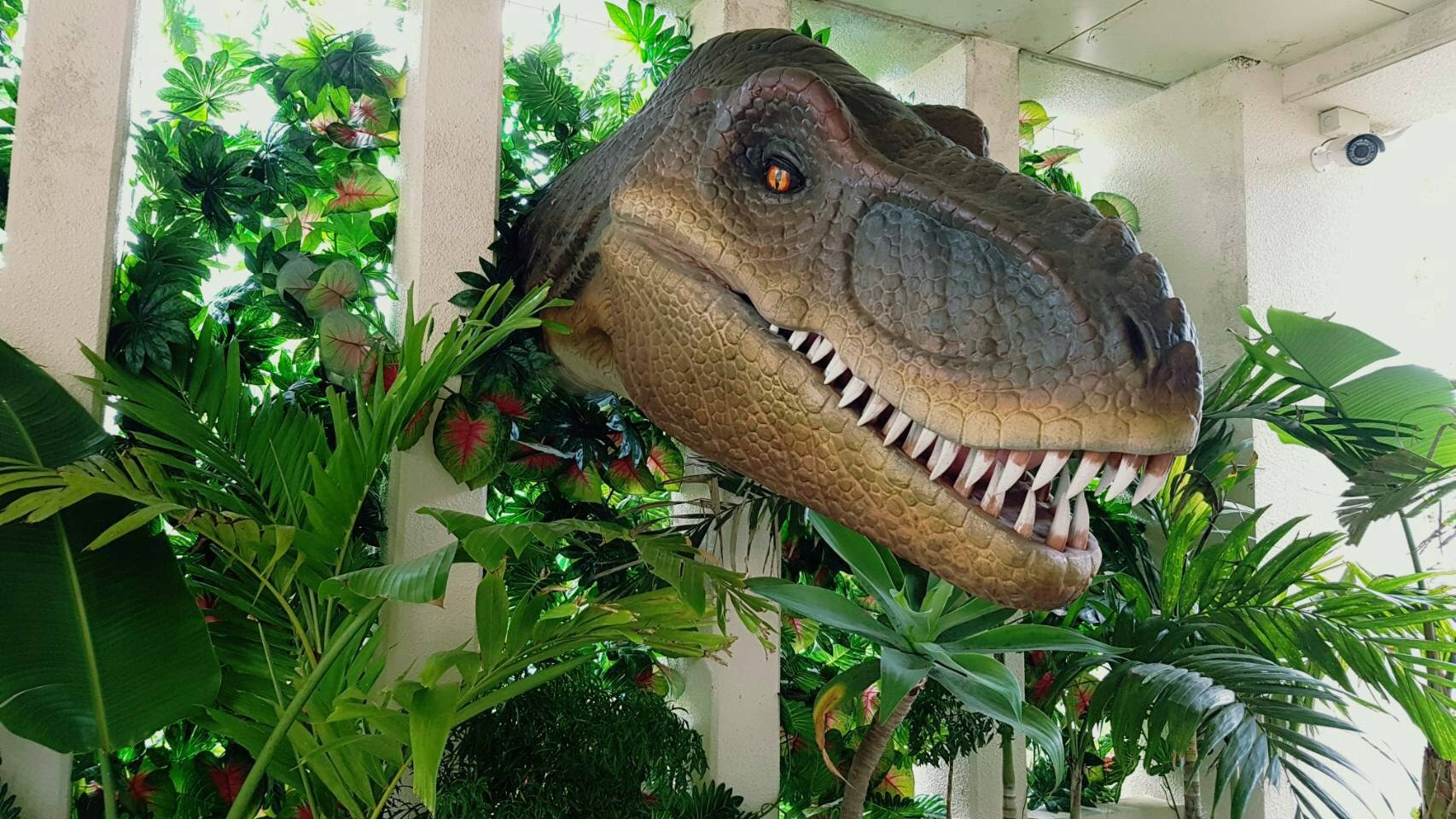 日本沖繩DINO恐龍公園
