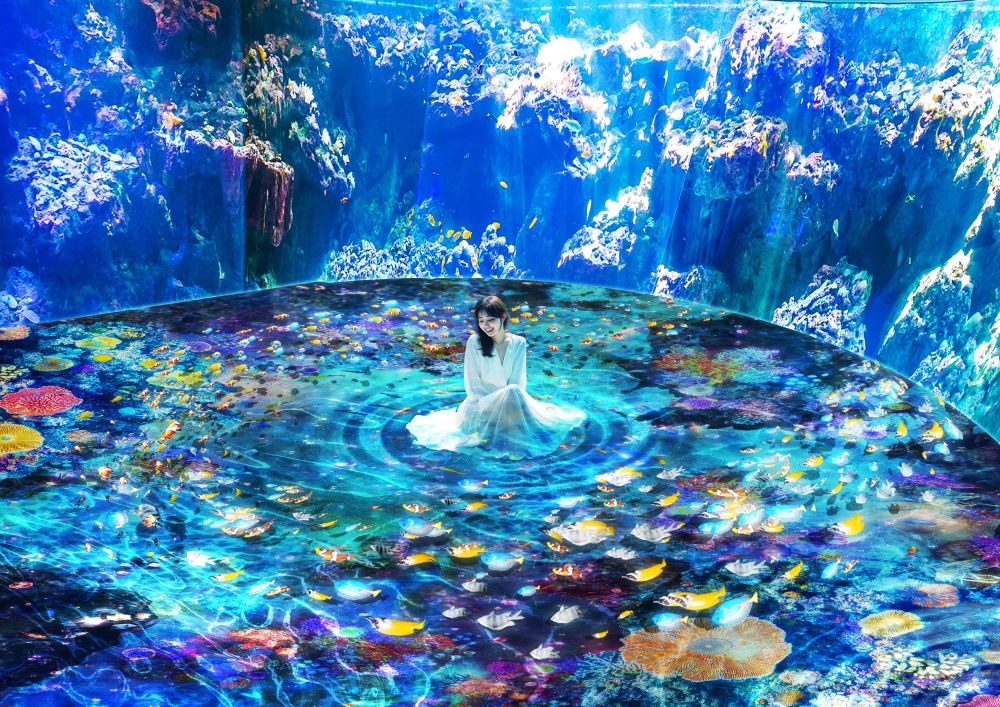 展演升級【珊瑚之森】展現魚群群游間的律動與力量