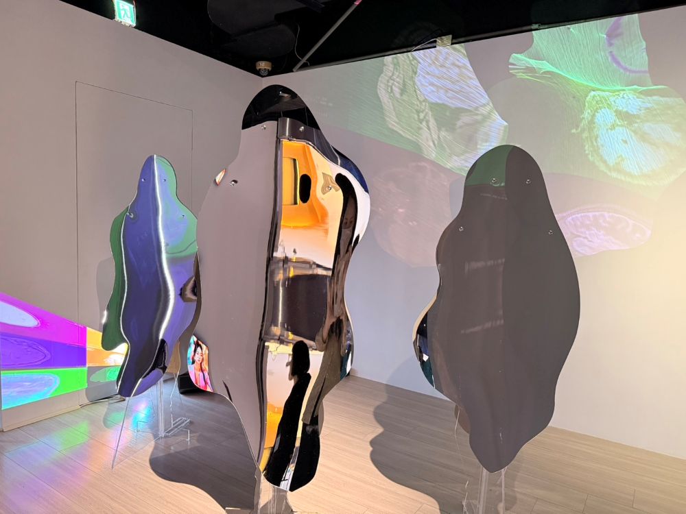 往年申請展展出-藝術家林月霞《微膠細胞失序》