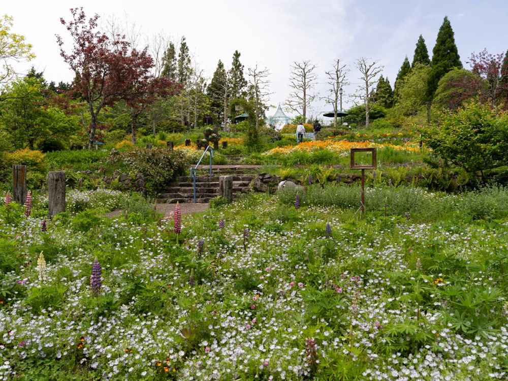 Garden Museum比叡擁有廣闊的庭園,充滿歐式風情,彷如走進名畫世界