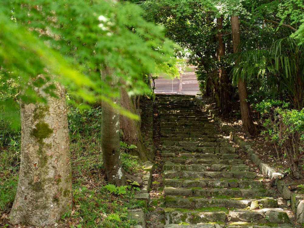 位於比叡山山麓的西教寺,是天台真盛宗的總本山,歷史可追溯至聖德太子時代