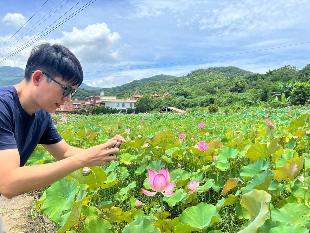 民眾搶拍牡丹蓮