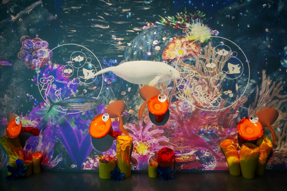 Ocean Paradise海洋樂園