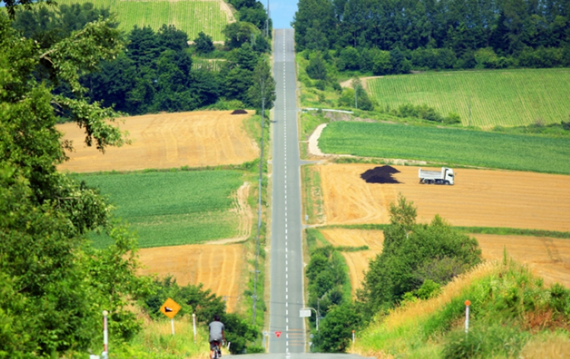 Tokapuchi 400 以筆直農路串聯十勝平原，騎行者沿路穿越農田與丘陵，享受北海道獨有的開闊感