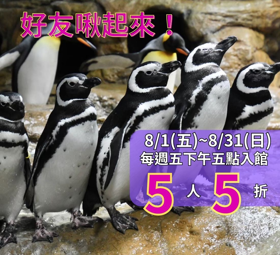 【週五星光限定】8月份官網預購獨家優惠，星期五下午五點入館五人五折