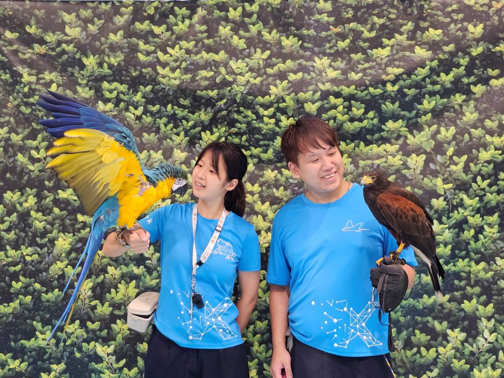 鳥事多~人氣鳥類明星齊亮相