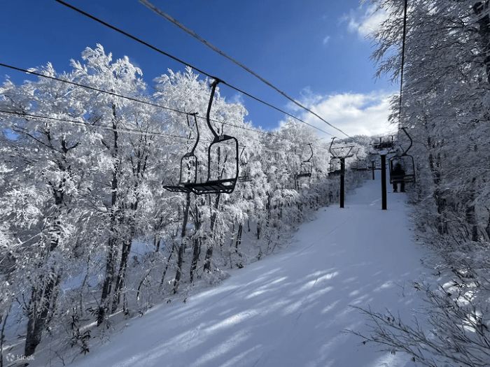 日本東北山形藏王溫泉滑雪場
