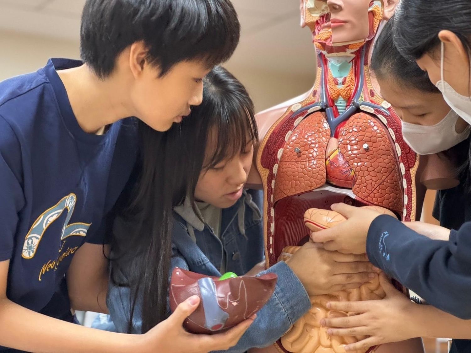 醫學相關課程