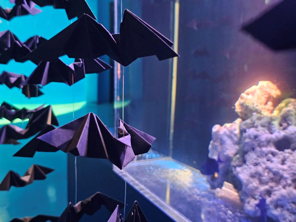 Xpark萬聖節限定蝙蝠裝飾