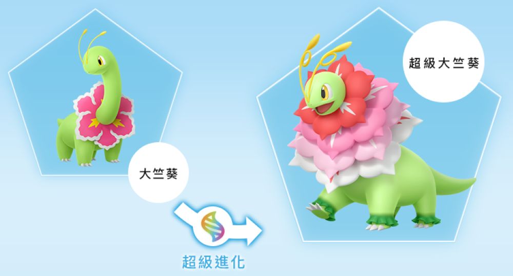 大竺葵超級進化