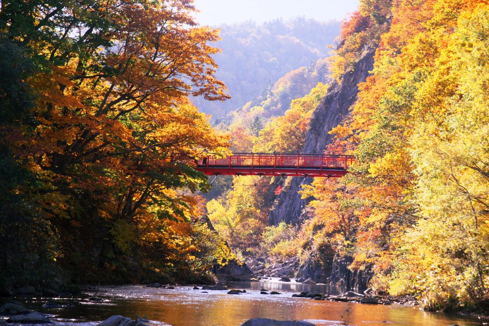 北海道定山溪素有「札幌後花園」之稱，擁有二見吊橋和秋葉纜車等賞景點，是觀賞豐平川溪谷秋日紅葉的溫泉勝地