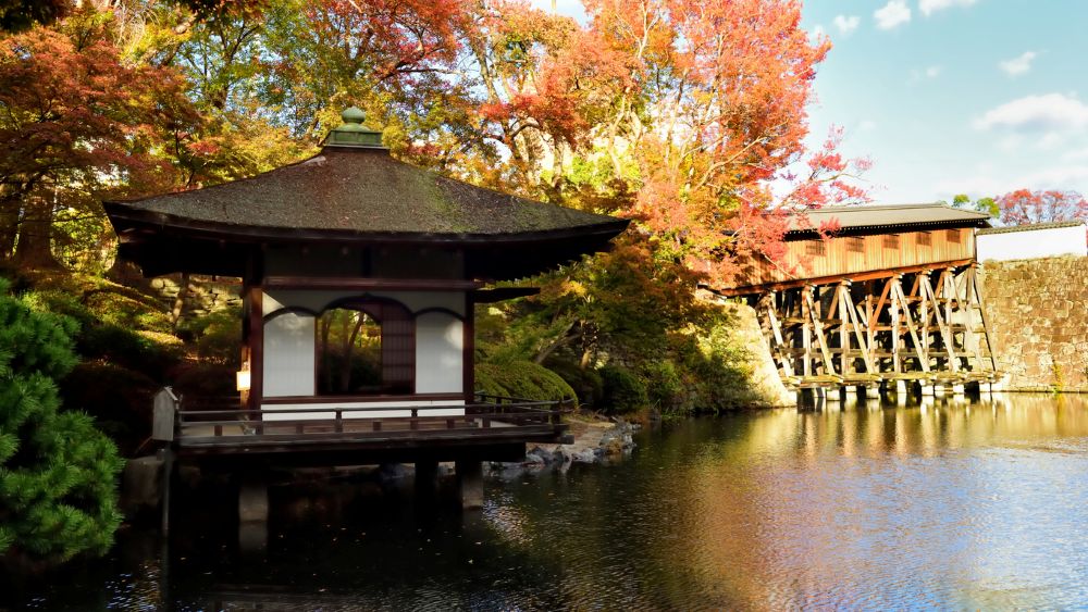 「廣島市」廣島宮島紅葉谷公園是緊鄰嚴島神社的人氣賞楓名所，以壯觀的楓紅溪谷、入口的朱紅色楓葉橋，以及夜間點燈的夢幻夜景著稱