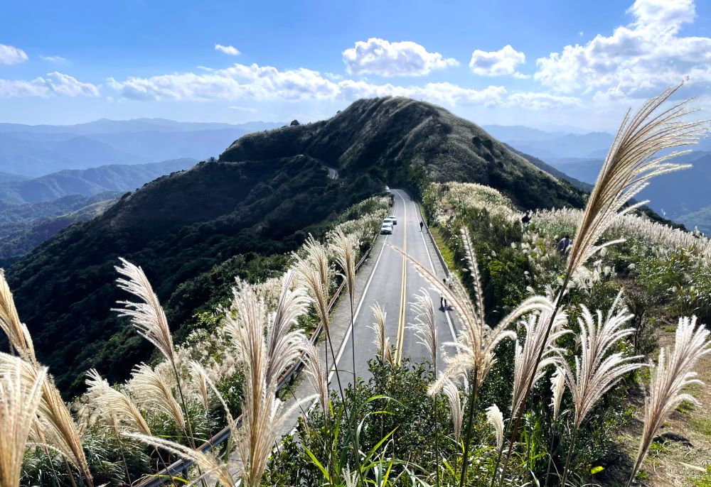 站在不厭亭眺望滿山芒花隨風搖曳,隨手一拍都是美景。