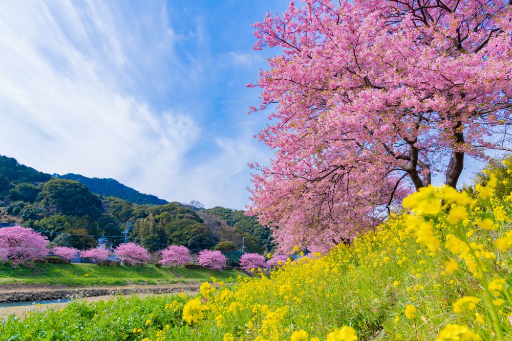 九連休必衝！易飛旅遊 × ZIPAIR 直飛包機專案｜自由行26,900起、團體4萬內！