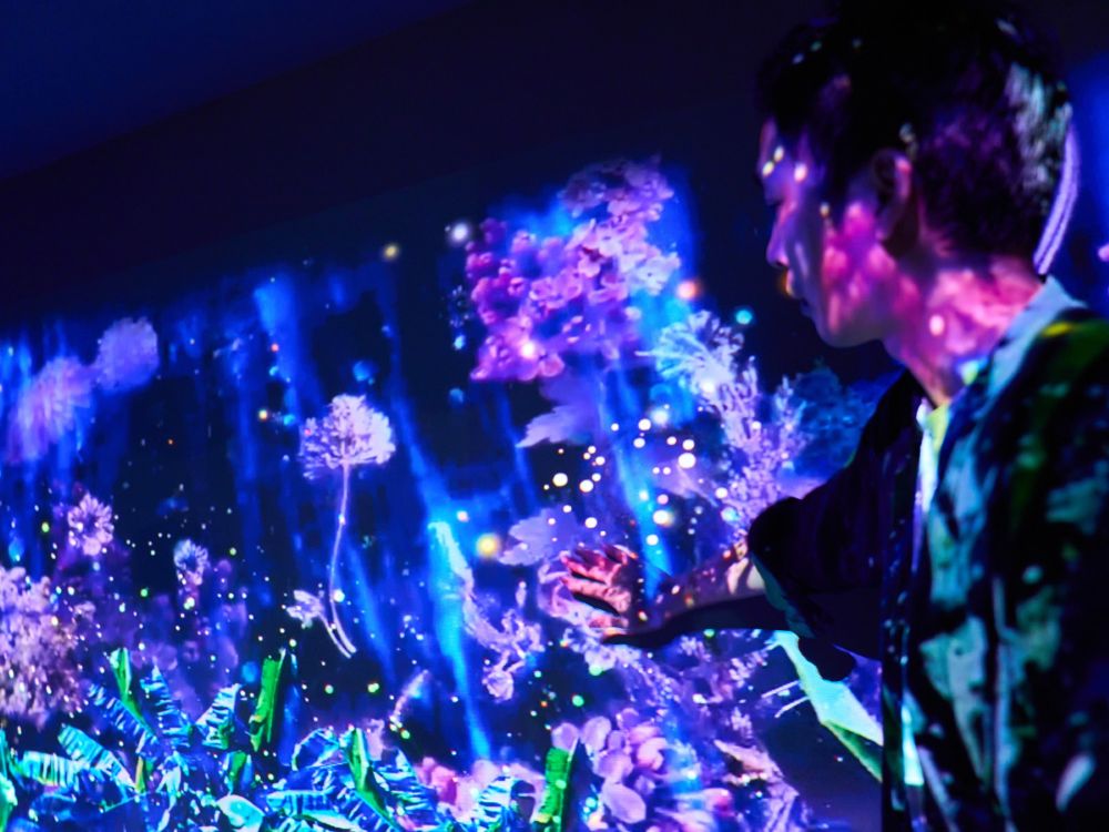 緩緩坪林-光影茶鄉四季