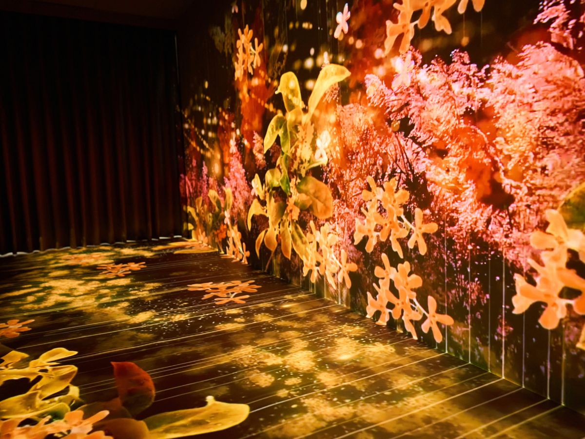 慢遊坪林新方式！「緩緩坪林」揭開茶鄉四季之美｜茶香、光影、蔬食一次收藏！｜旅遊｜日享傳媒 SunRiseSharing