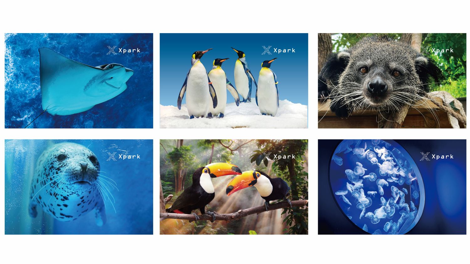 自動售票機限定|6款超萌門票