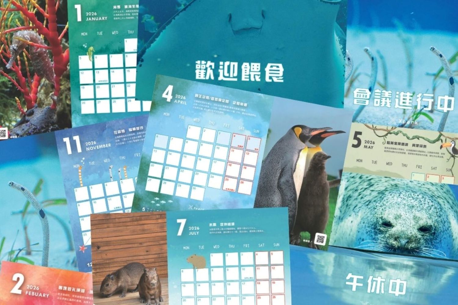 馬上豹原創桌曆內頁大公開~12種人氣生物伴您過新年