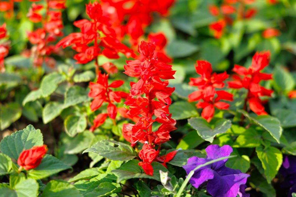 9d0ec38f-53ec-4e27-8e85-95b1841fe490