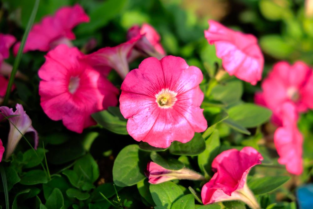 d0861432-451f-43c3-9060-e939dc0fe2cc