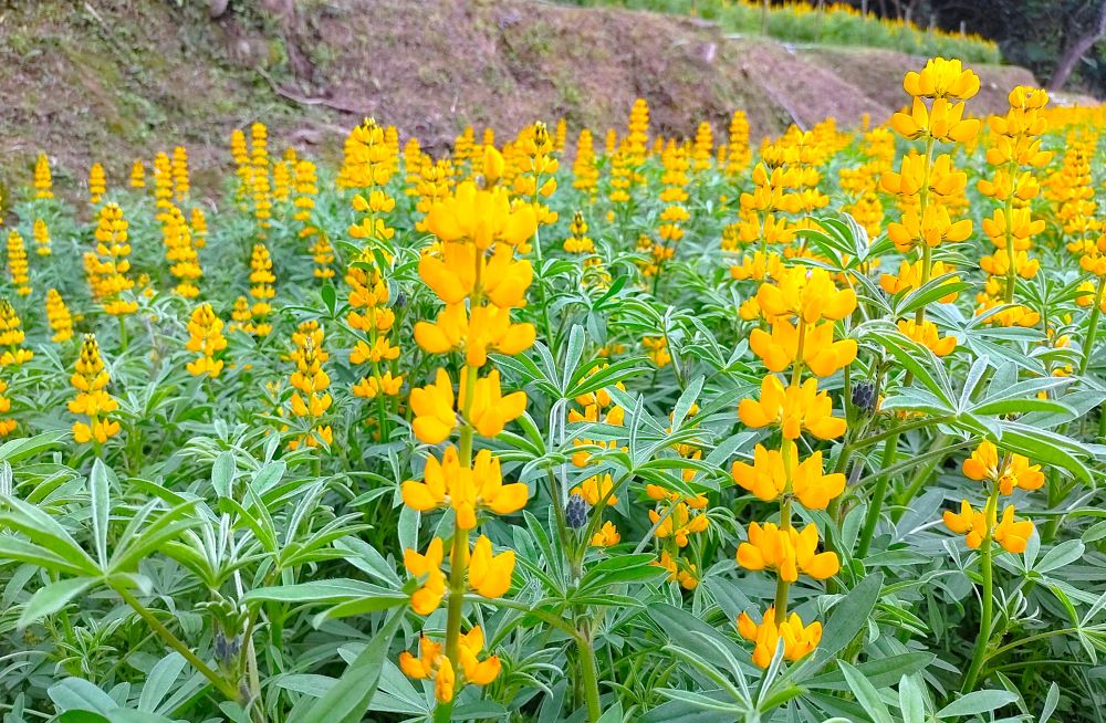 7e72ec31-0445-4db6-a272-9cfbd3197435