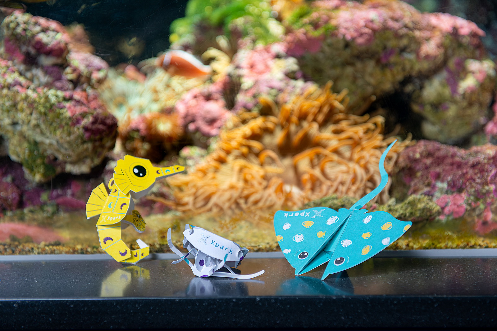 新感動 X海洋摺學家-Origami套票,把 Xpark 的海洋帶回家