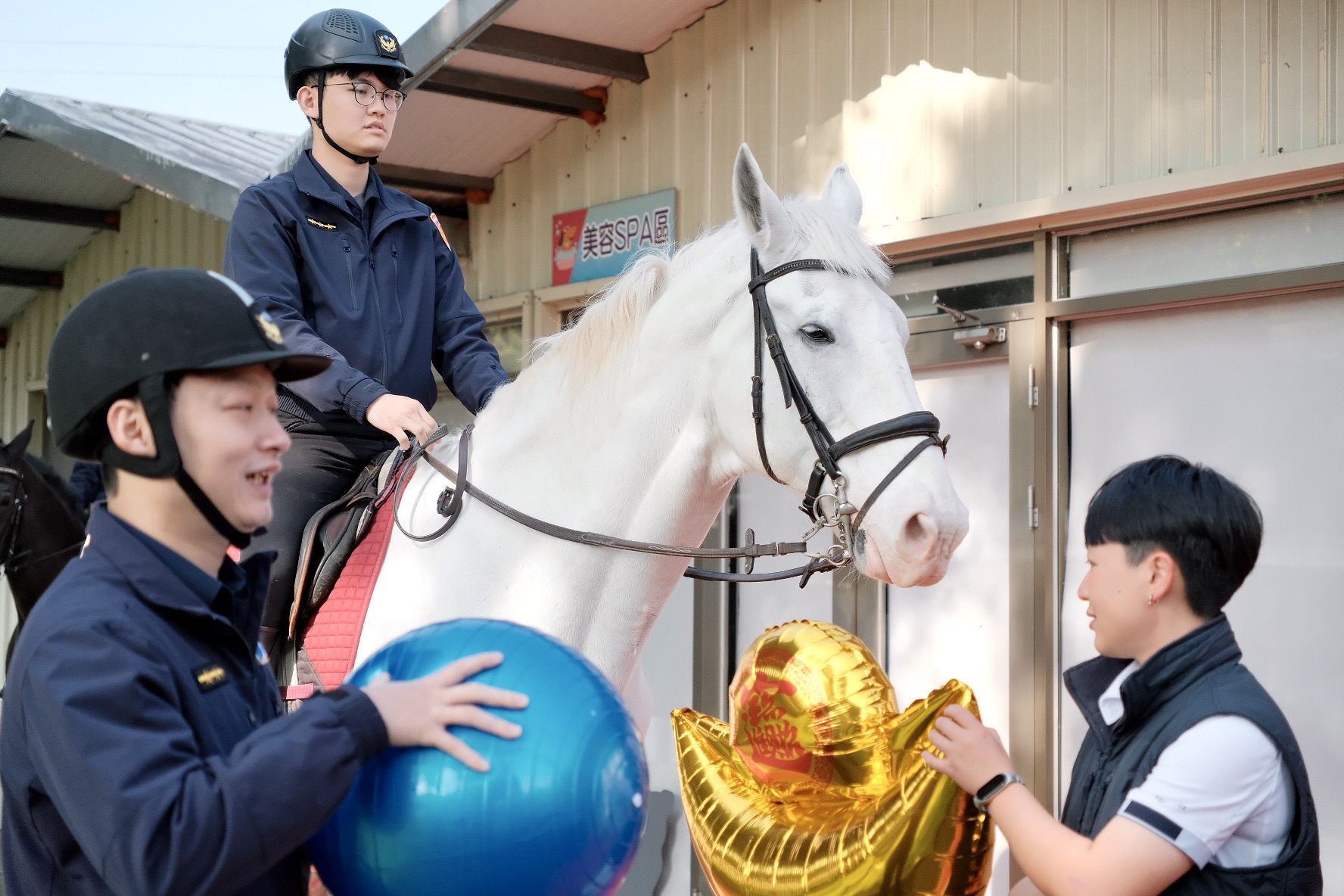 白馬卡通對金元寶和療癒球較有興趣