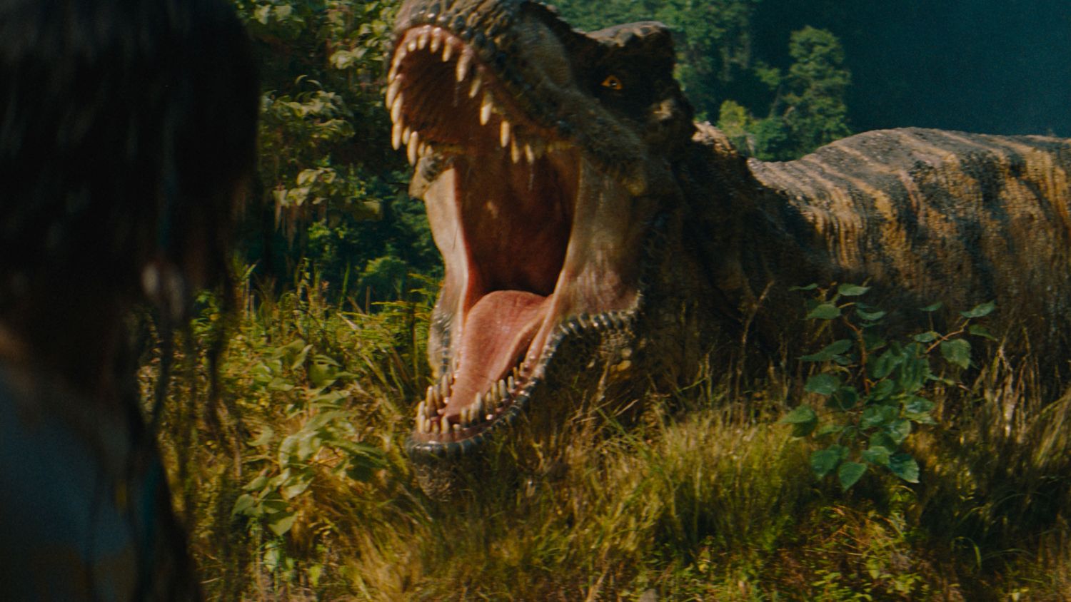 HBO Max_Jurassic World Rebirth_Photo Courtesy of NBCUniversal l HBO Max
