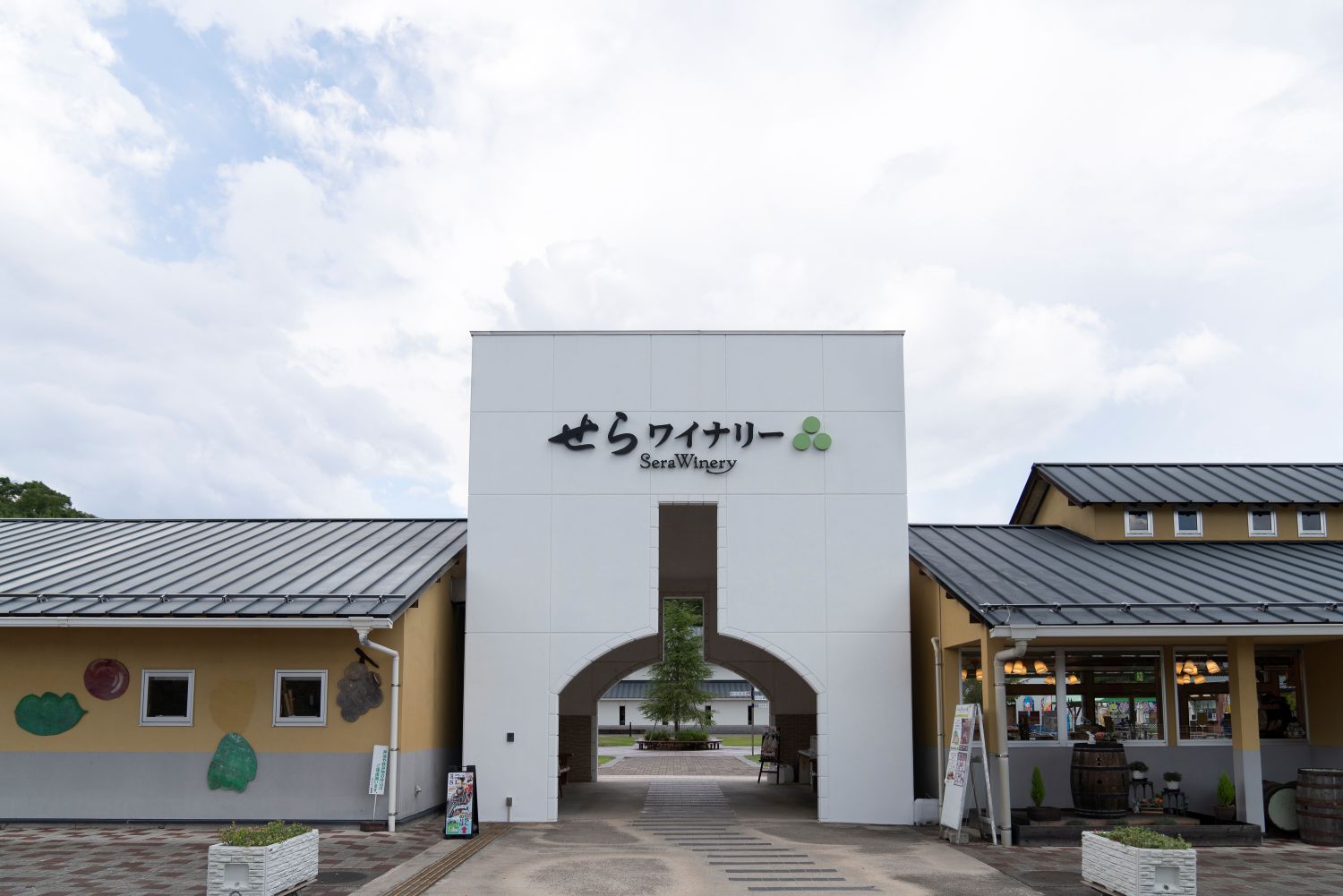 在世羅釀酒廠的商店可選購100%以世羅產葡萄所釀製的葡萄酒