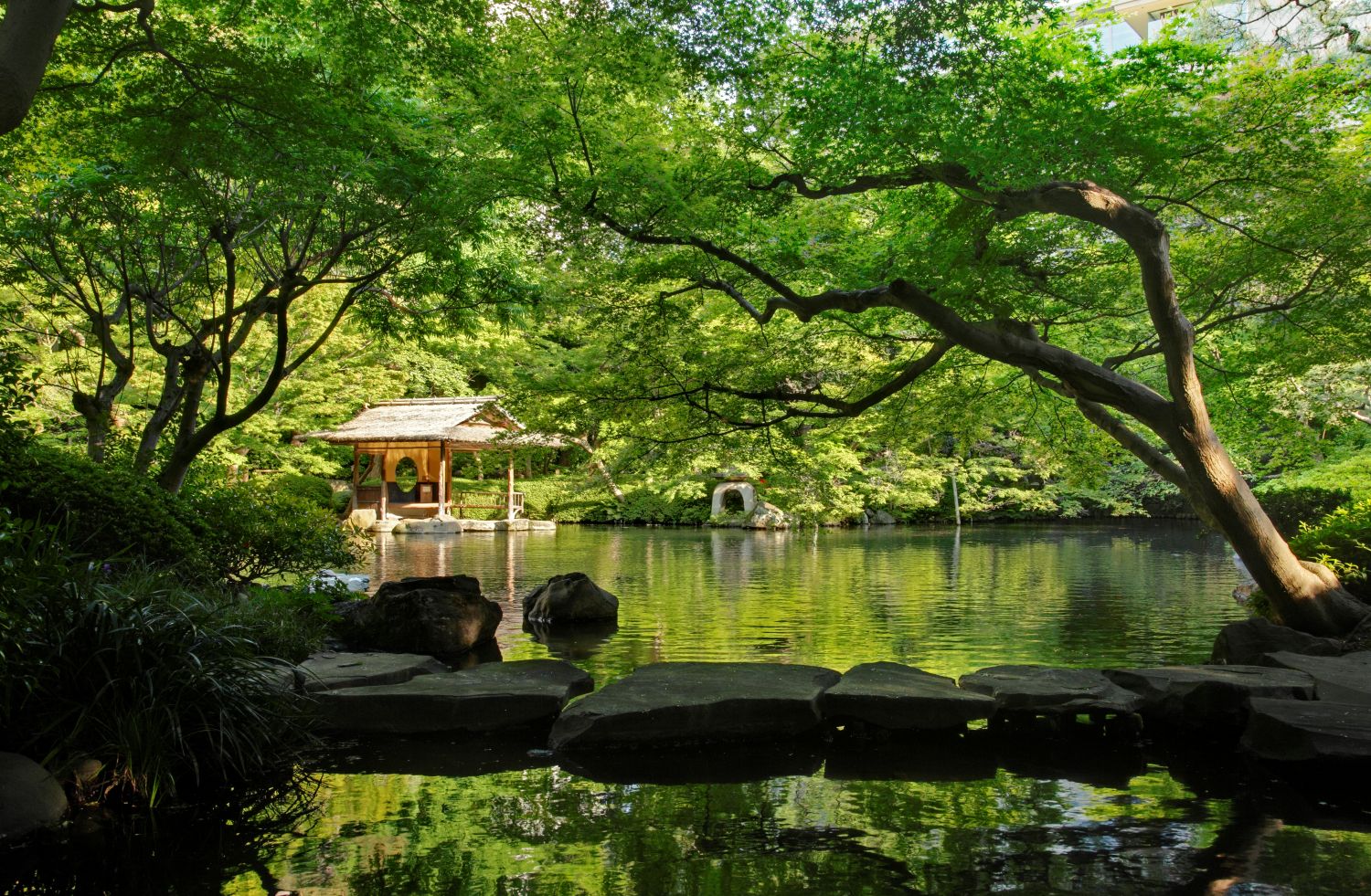 八芳園的設計哲學，精髓在於「梳理自然（自然を整える）」