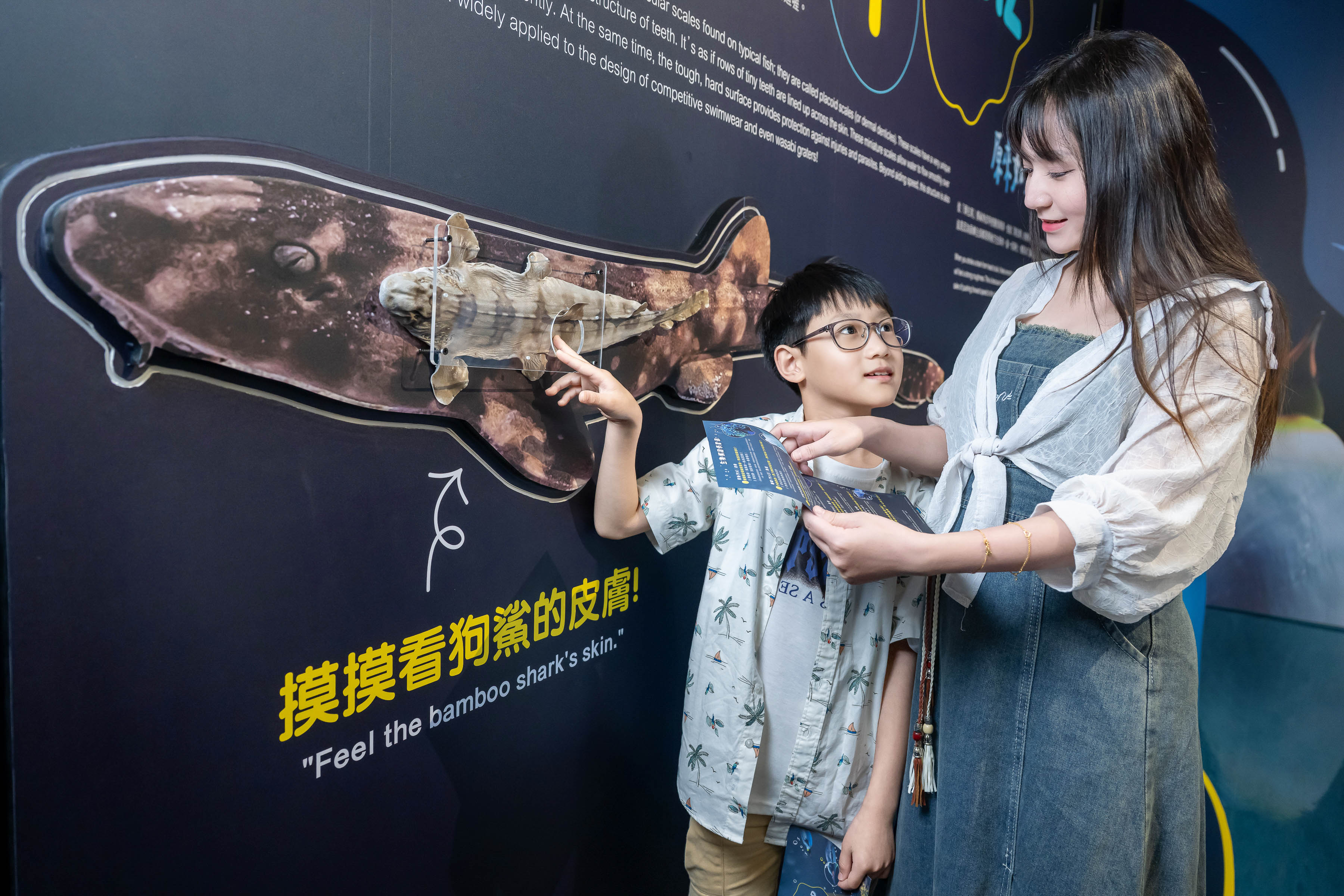 原來海洋生物這麼厲害-觸摸鯊魚表面的盾鱗結構,感受如何透過細緻排列降低水流阻力