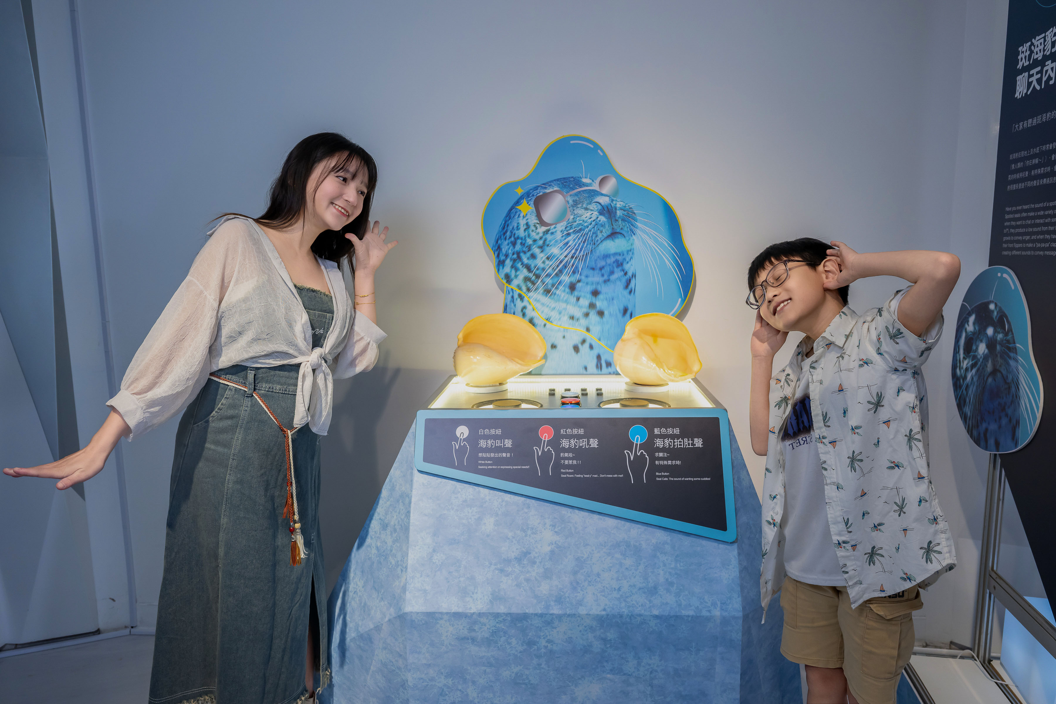 原來海洋生物這麼厲害_聆聽斑海豹的溝通聲音,辨識牠門的互動訊號,在聊什麼呢?