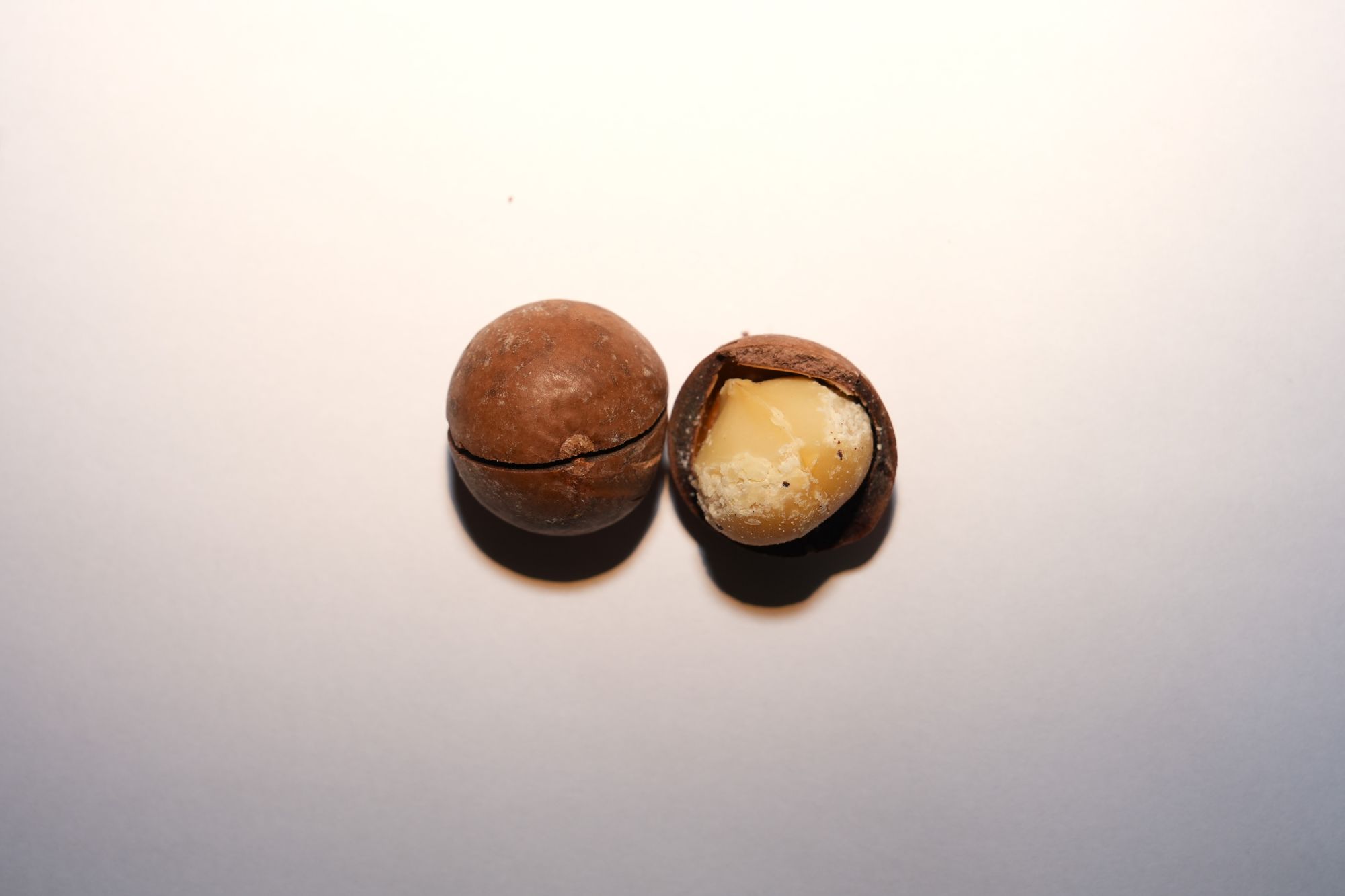 Happy Nut 帶殼火山豆 剖面特寫