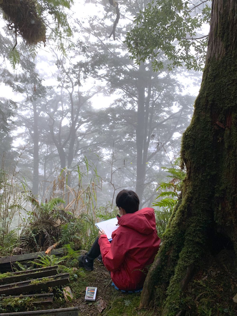 e513d845a2554f1b9494fb3e2ca9fede