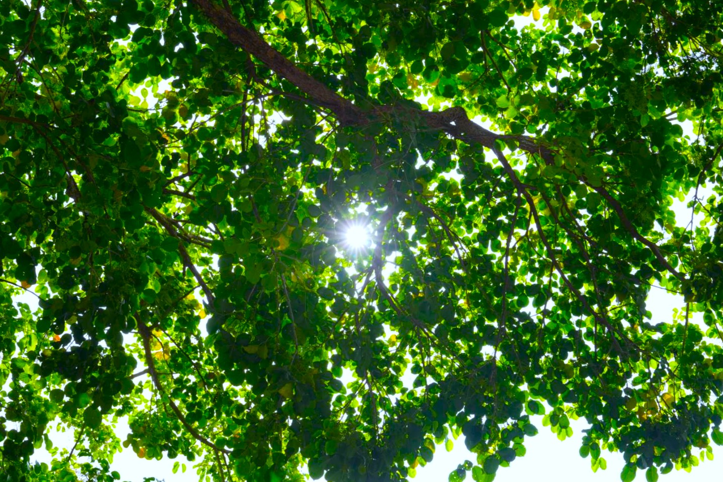 登山愛好者必看！林業署雨季登山安全指南，守護你的山林之旅｜生活｜日享傳媒 SunRiseSharing