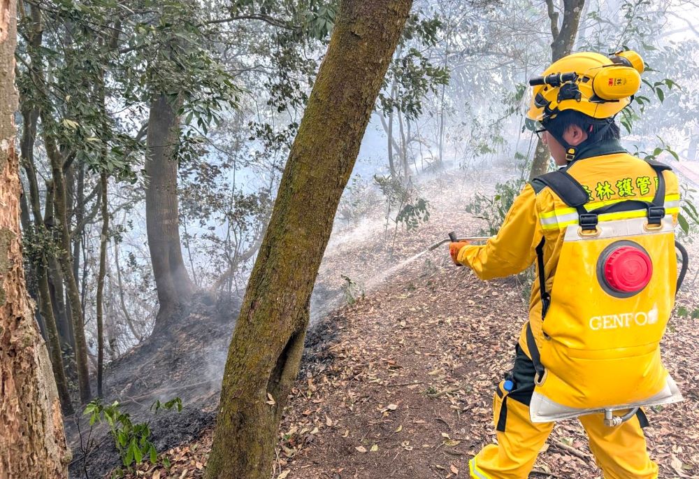 成為山林生態守護者：高中職畢業不限科系，林業及自然保育署臺中分署森林護管員甄試開跑｜生活｜日享傳媒 SunRiseSharing