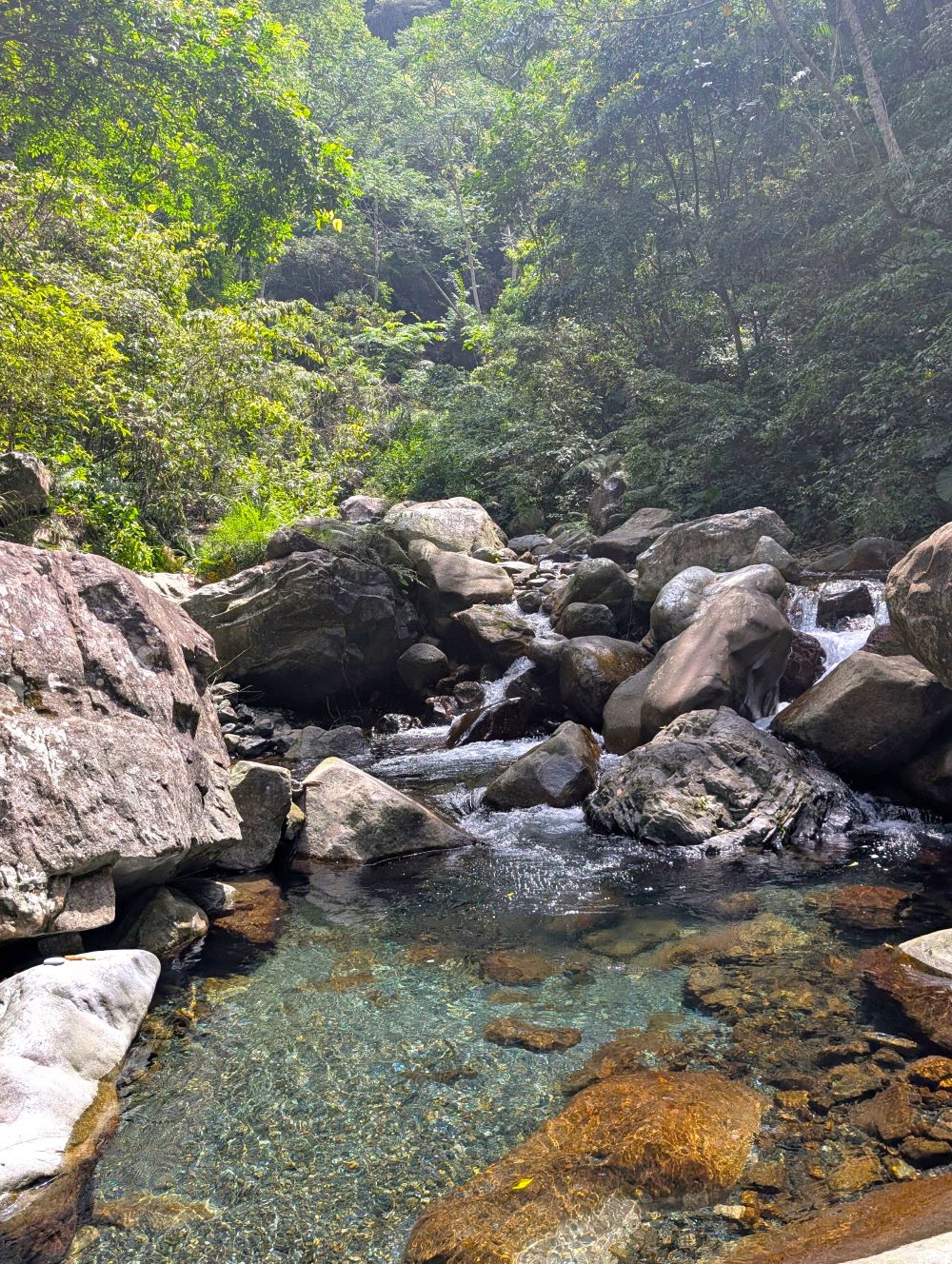 回到秘境，體驗一期一會的幽靜時光：唐麻丹山蝴蝶谷步道4/30重新開放，步道安全再升級！｜旅遊｜日享傳媒 SunRiseSharing
