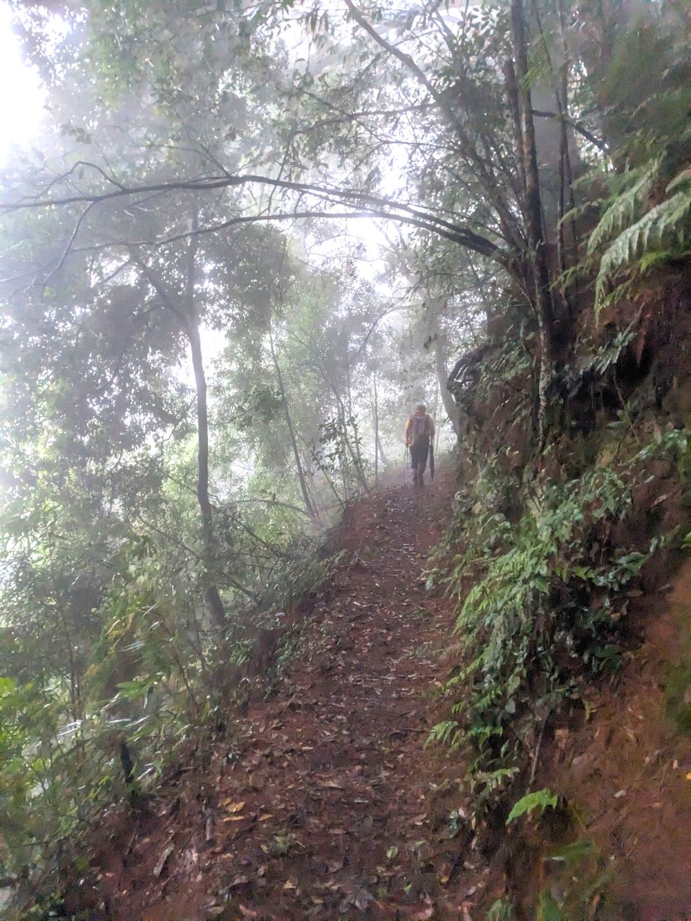 d7b845b6e48446d28a96e61851e85a71