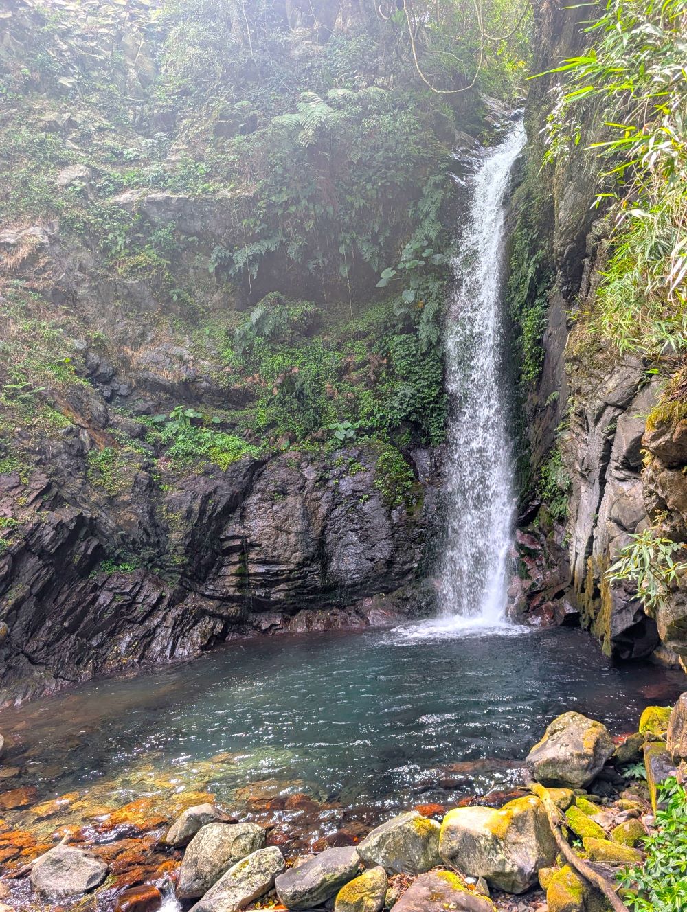 e1fa0e21118446cf84bf4800a67c5f40