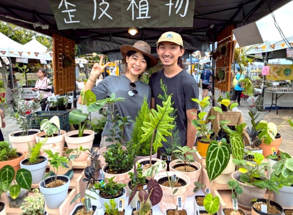 綠植店家歪皮植物將帶來各種鹿角蕨及觀葉植物