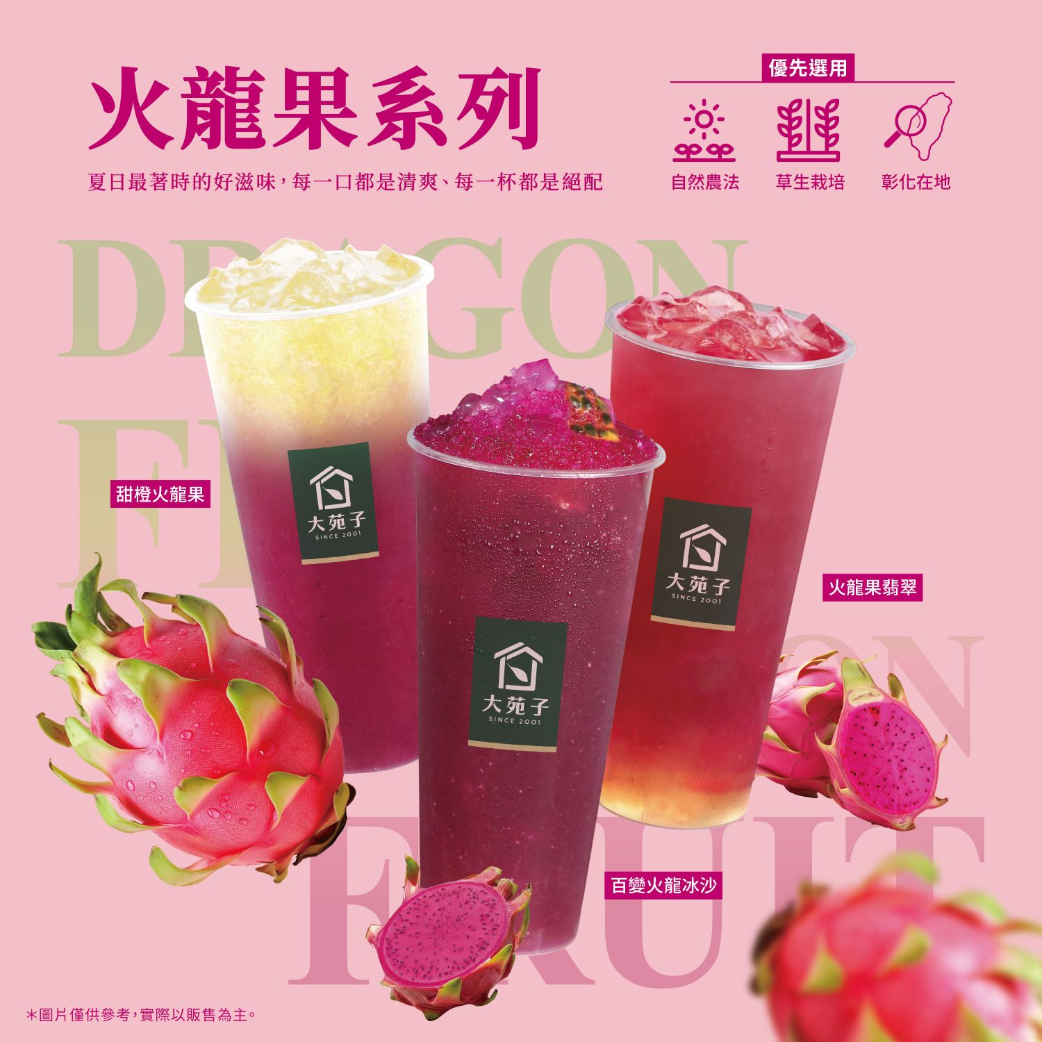 火龍果系列