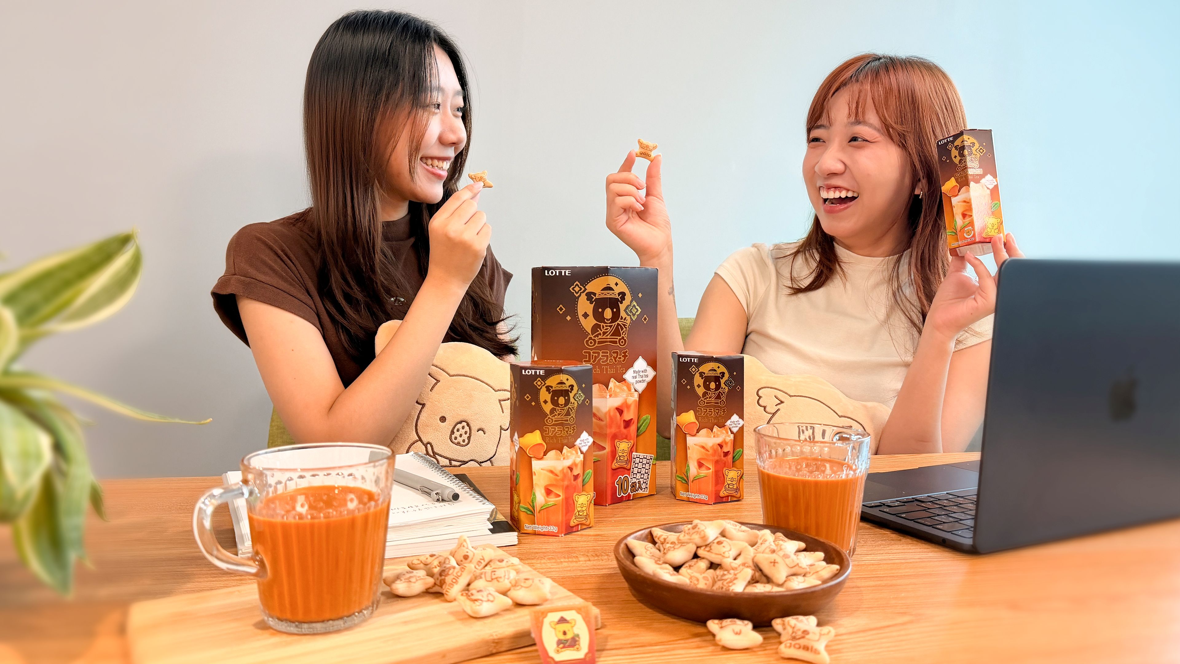 樂天小熊餅全新「泰奶風味」，「泰」美味！即日起全台各大通路限時優惠開跑。