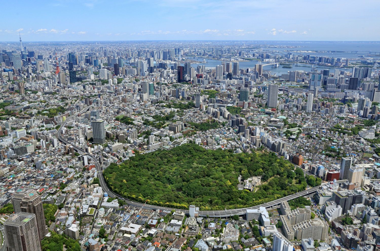 從空中俯瞰的自然教育園全景。周圍被都市建築環繞,仍清晰可見的大片完整綠地,彷彿一片都市綠洲