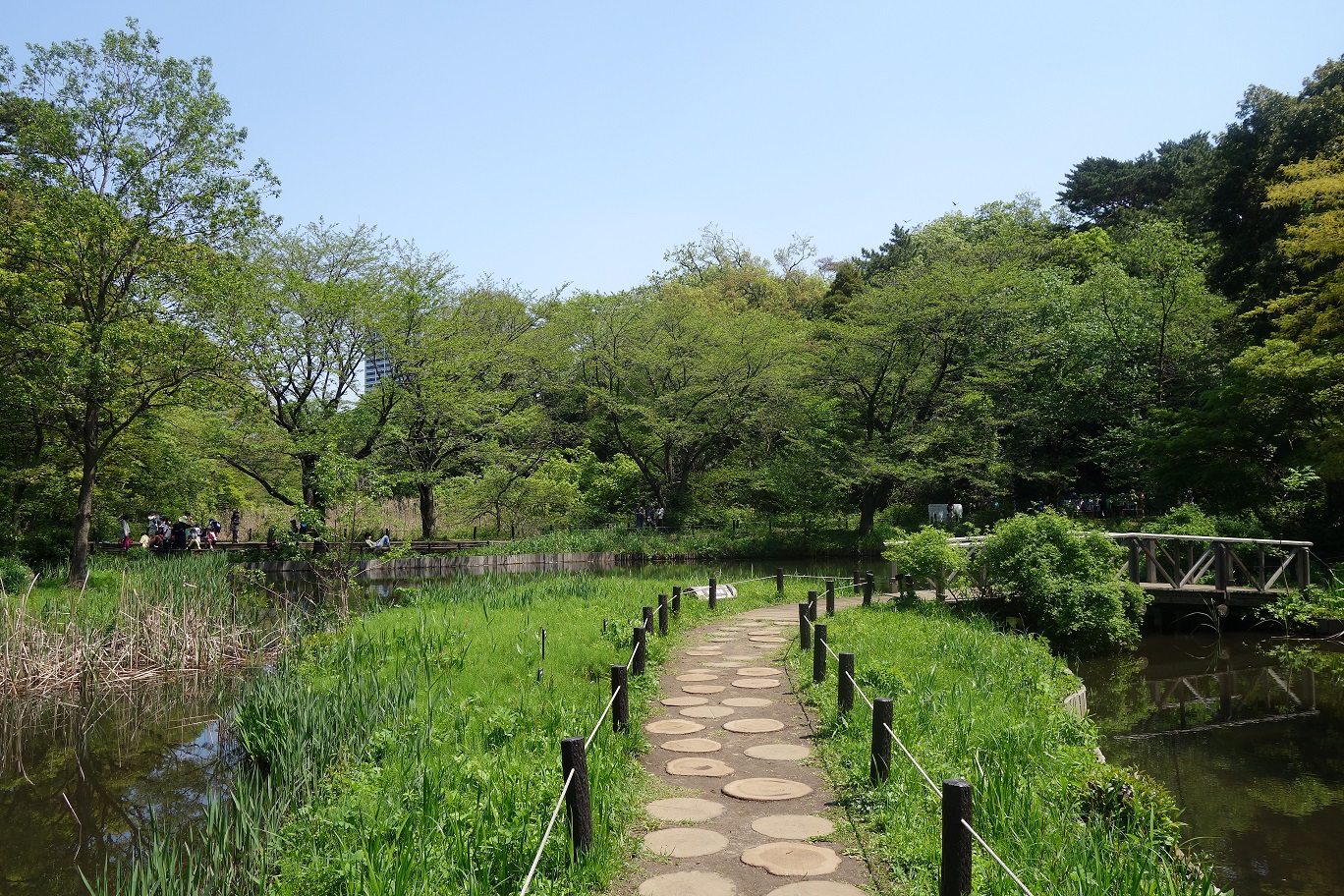 沿著水域設置的水生植物園步道