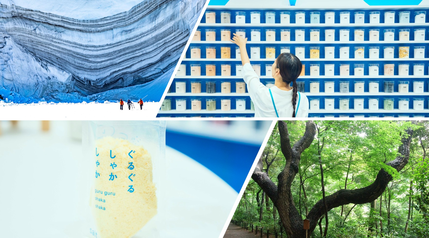 東京夏天不只逛街！「南極冰層、都市森林浴、製鹽體驗」打造一趟知性涼感小旅行｜旅遊｜日享傳媒 SunRiseSharing