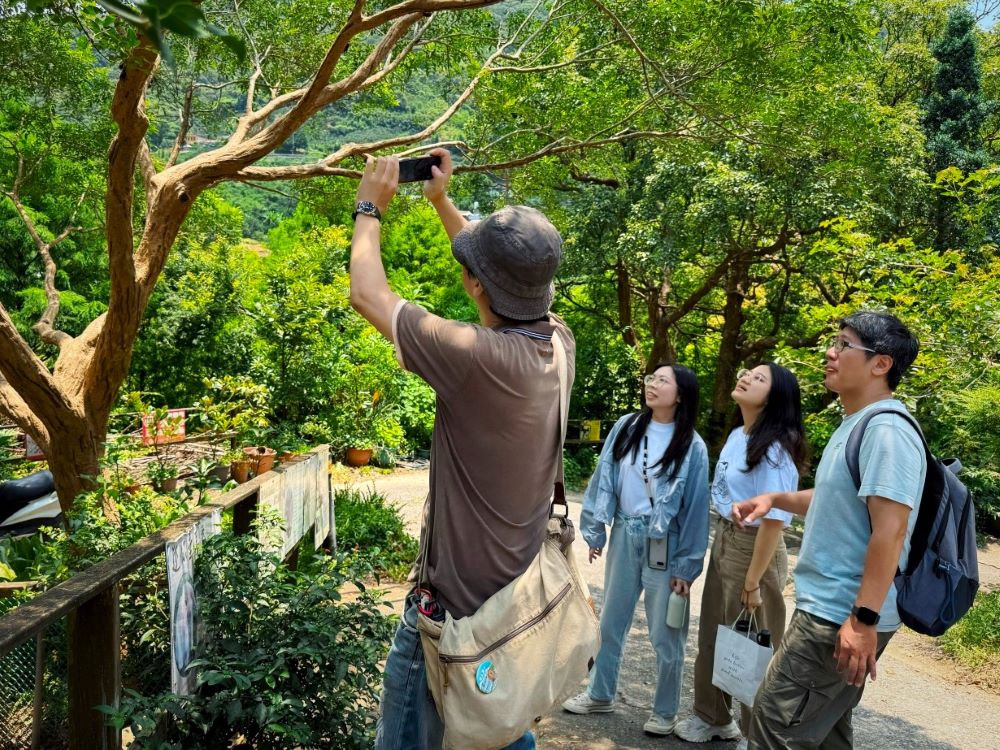 圖4觀音山桃樂絲農場生態導覽，還可享用柚香風味餐。