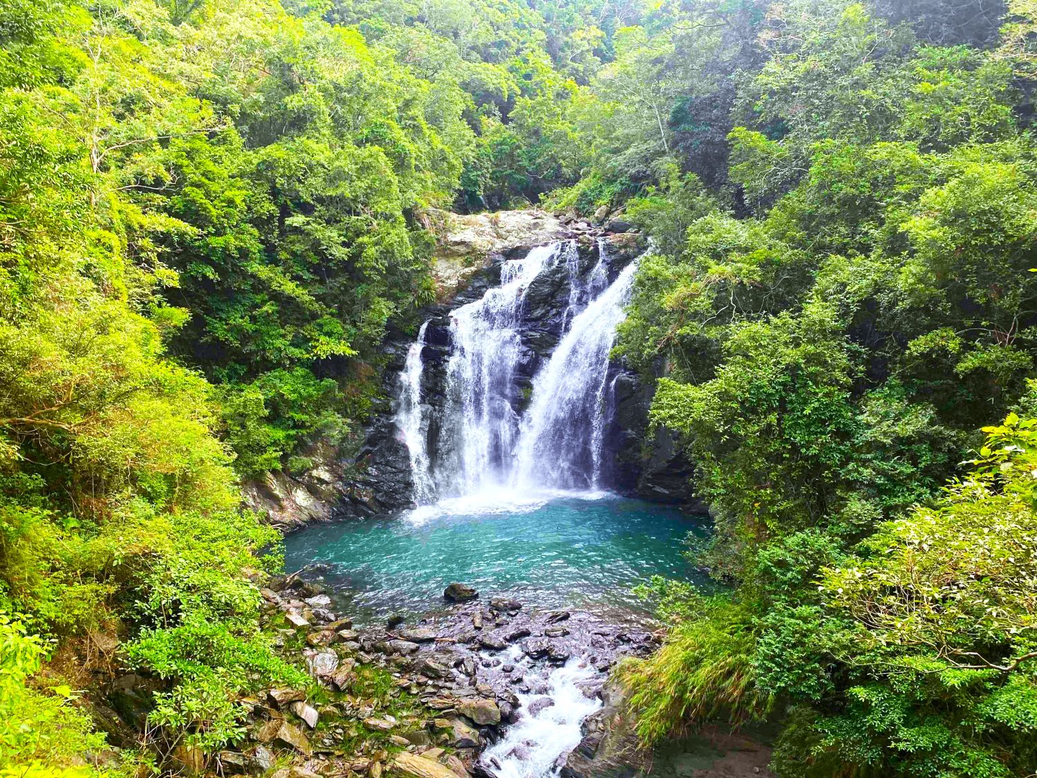 雙流國家森林遊樂區溪流(陳彥叡先生提供)