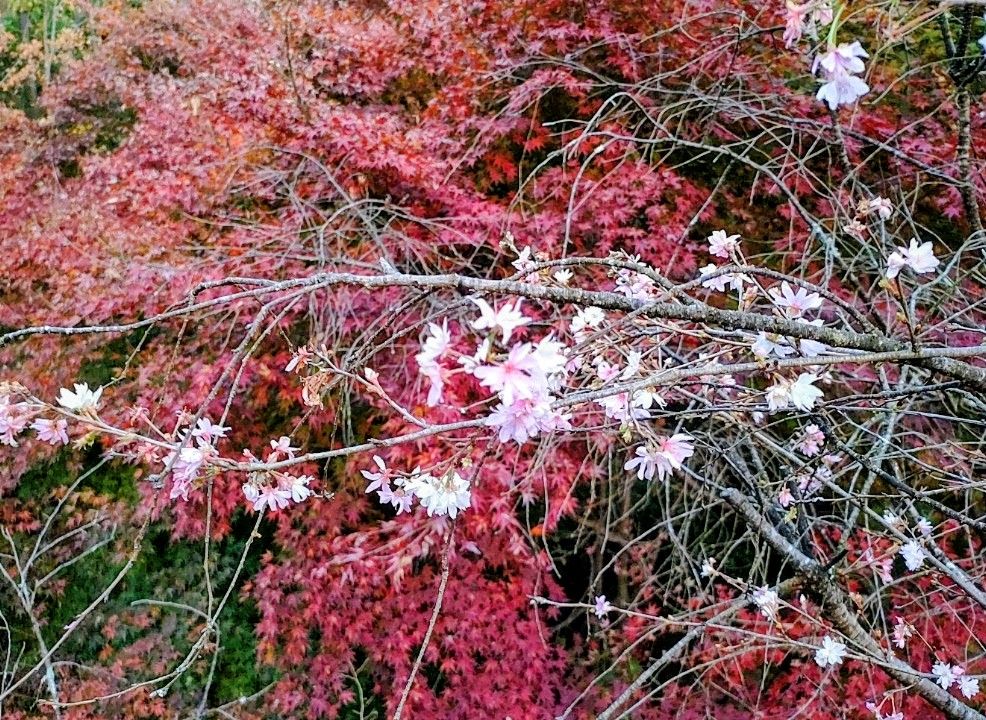 城峯公園2