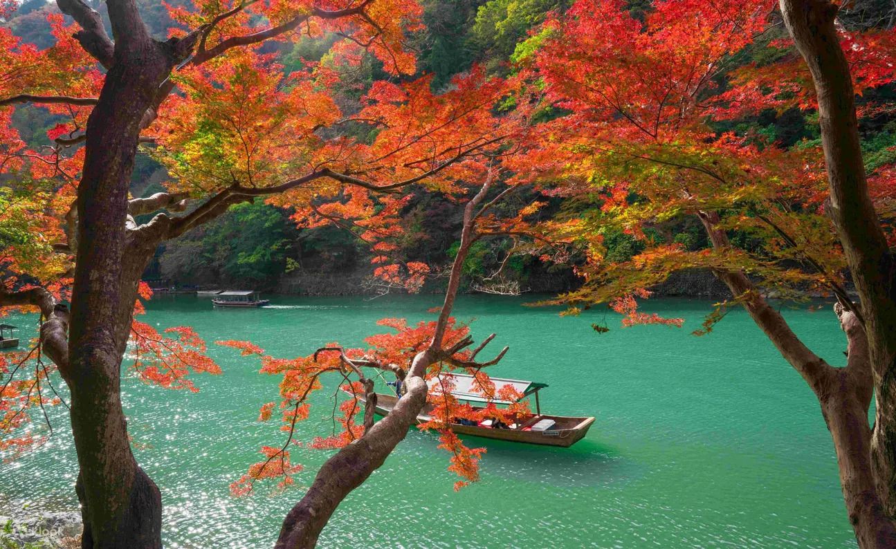 京都奈良一日遊將前往嵐山大堰川,秋季紅葉滿岸非常浪漫