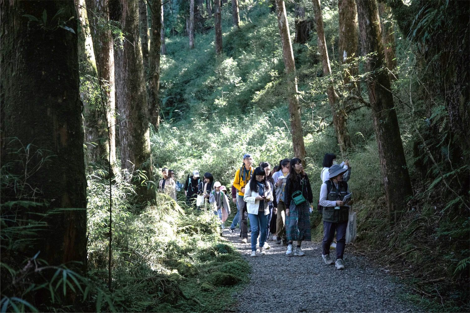 開啟冬日感官聚會！阿里山風格季「冬，森林山茶會」10/19搶先報名｜生活｜日享傳媒 SunRiseSharing